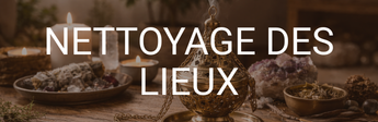 geobiologue nettoyage maison toulouse